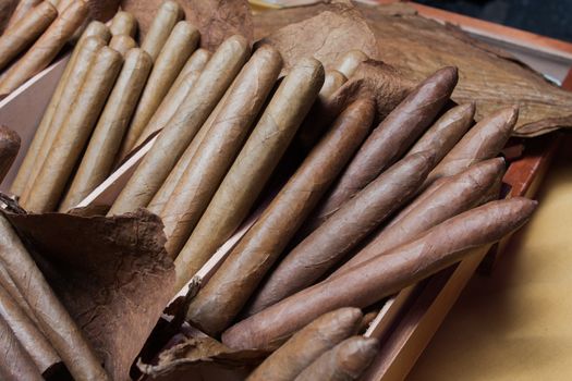 hand made cigars parejos