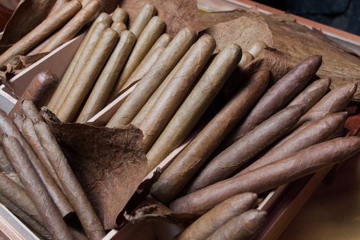 hand made cigars parejos