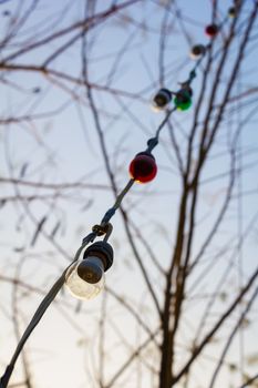 decoration outdoor light bulb on sky and tree background