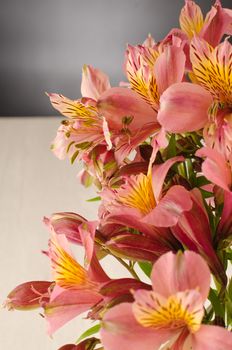 Bouquet of a beautiful alstroemeria flowers on wood. Lily flower. Chalkboard background