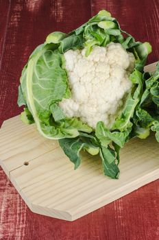 Fresh cauliflower on board cooking and red background
