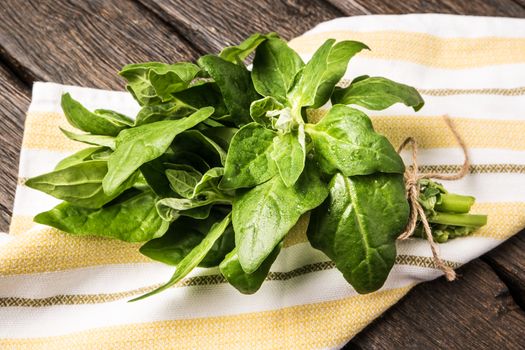 Spring spinach leaves on dark wooden background with kitchen cloth