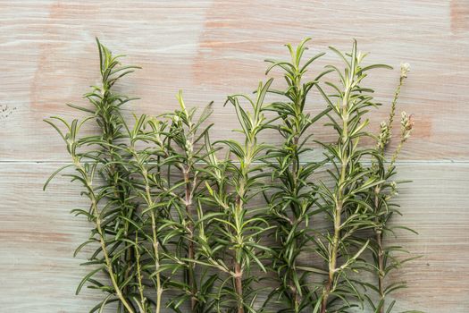 Bunch of fresh of garden rosemary on wooden table, rustic style, fresh organic herbs. Top view with copy space