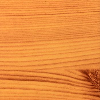Abstract wood texture with focus on the wood's grain. Pine wood