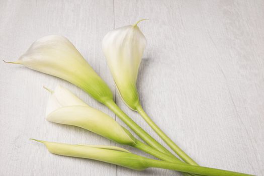 Elegant spring flower, calla lily on rustic wooden table. For wedding background image. Top view with copy space