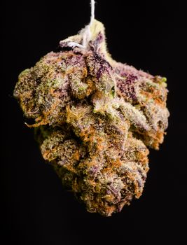 Medical Marijuana shot in Denver, strain is Twisted Purple OG