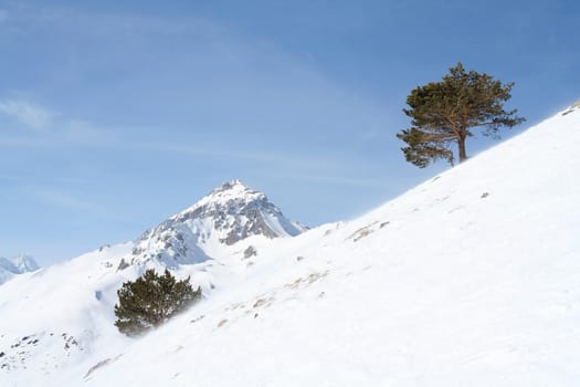 In the mountains of Dombai, Caucasus