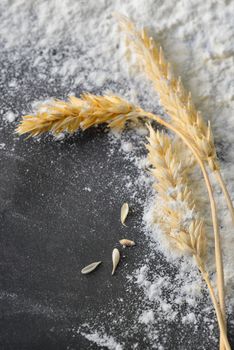 whole flour and wheat ears on black board