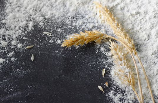 whole flour and wheat ears on black board