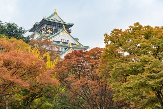 Osaka castle in early autumn season in Osaka, Japan.