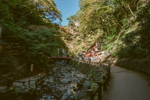 Osaka , Japan - November 5, 2015 : Mino Falls Meiji-no-mori Mino Quasi-national Park (Mino Waterfall) Minoo Park Stream - take photo in early autumn season before red maple grown