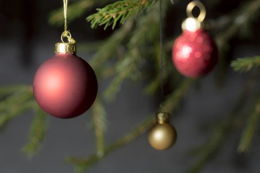 Christmas Tree Balls in Spruce Tree close up.