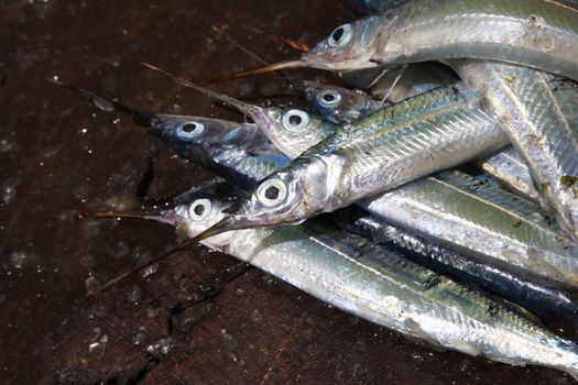 Line fish stacked in sixes on a table at the Stone Town Fish Market in Zanzibar.