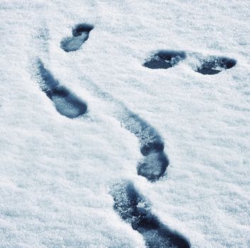 abstract background track shoes in melting snow