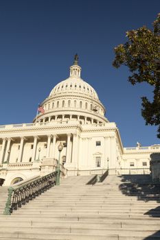 The US Capitol in Washington D.C.