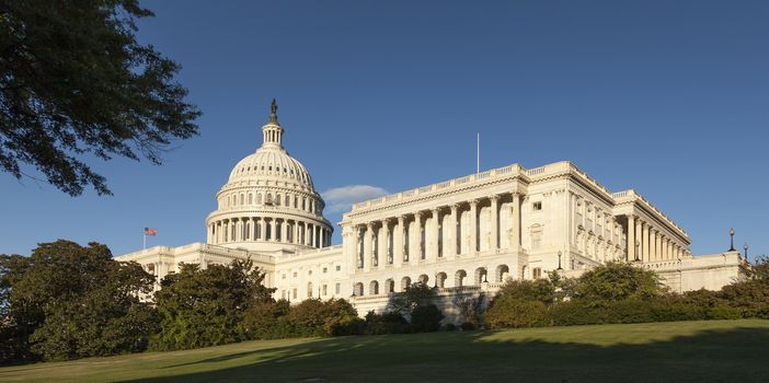 The US Capitol in Washington D.C.