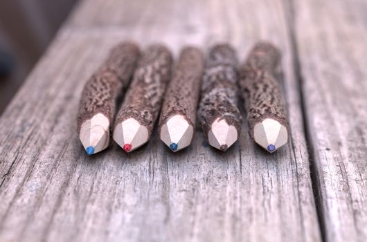 Macro view of bark covered colored pencil tips on a wood bench background