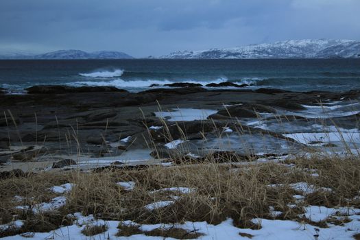 Waves, foreshore, sea, nature