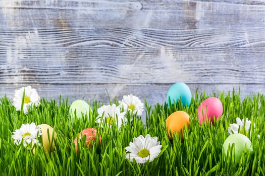 Easter eggs in grass with flower, wooden background