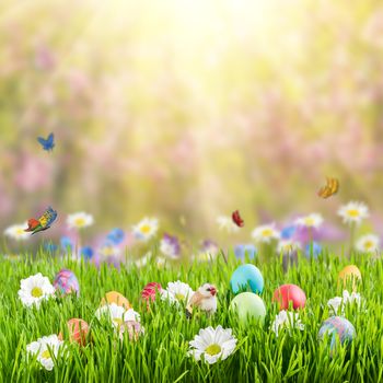 Easter holiday background with eggs and flowers