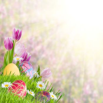 Easter holiday background with eggs and flowers