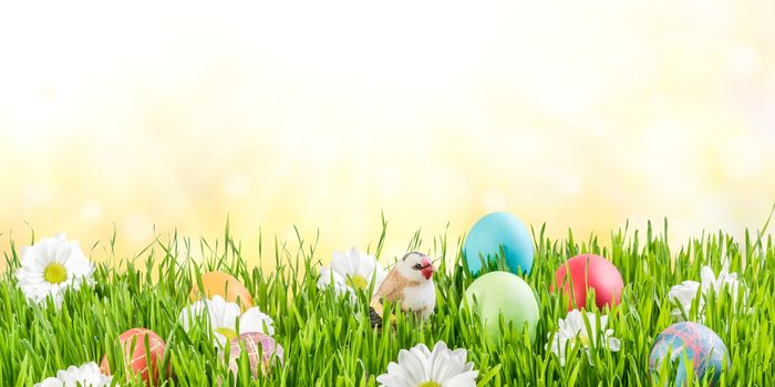 Easter nature holiday background with eggs and flowers