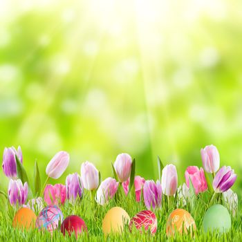 Easter nature holiday background with eggs and flowers