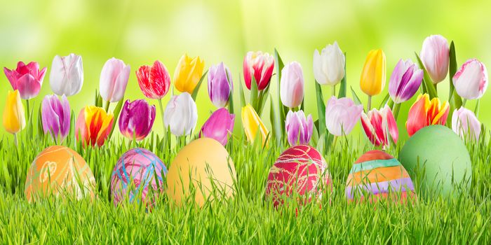 Easter nature holiday background with eggs and flowers