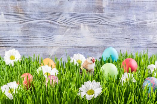 Easter background with eggs in grass and flowers, wooden backdrop