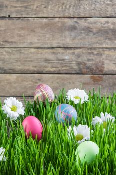 Easter background with eggs in grass and flowers, wooden backdrop