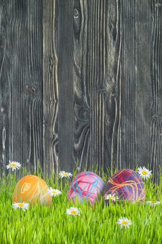 Easter background with eggs in grass and flowers, wooden backdrop