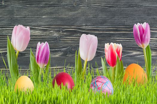 Easter background with eggs in grass and flowers, wooden backdrop