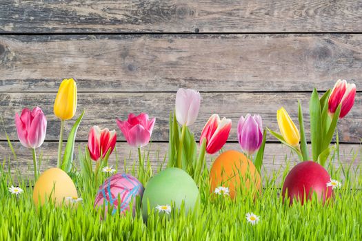 Easter background with eggs in grass and flowers, wooden backdrop