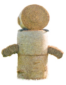 Hay bale figure, in the countryside, isolated.