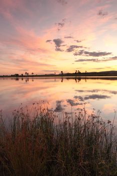 Lake side reflections on Duralia Lake, Penrith with foreground long grasses