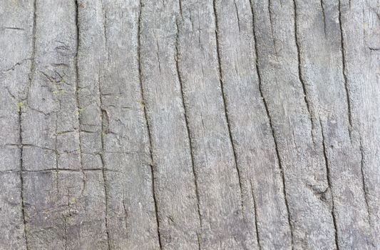 Old, cracked wood background, high resolution