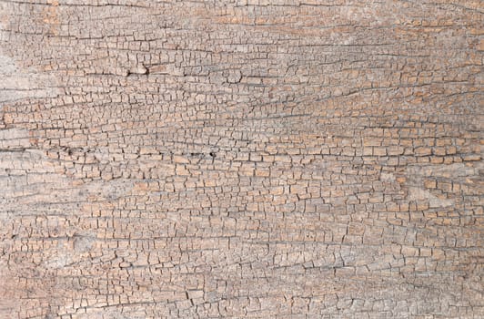 Old, cracked wood background, high resolution