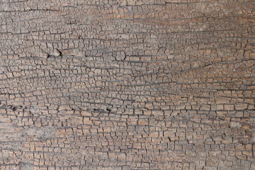 Old, cracked wood background, high resolution