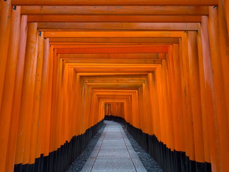 japanese shinto shrine torii gates