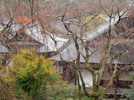 traditional architecture in kyoto japan autumn scenic