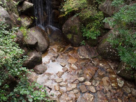 oriental japanese garden scenic