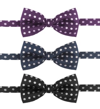 Three dotted tie bows in different colors isolated on white background
