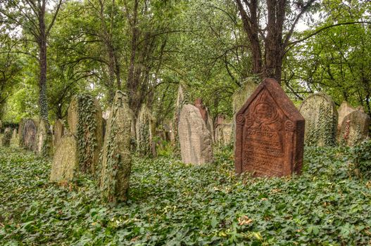 The Old Jewish cemetery at Kolin - one of the oldest landmarks of that kind in Bohemia. The beginning of the cemetery dates back to the 15th century. The oldest tombstones  are from 1492. There are over 2600 tombstones on the cemetery. For example: tombstone of Becalel, son of Jehuda Low.
Kolin, Czech republic, Europe.