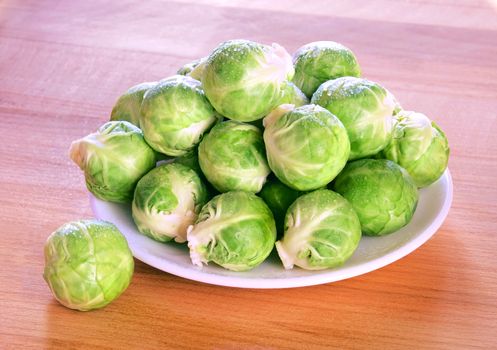 Several heads of fresh wet brussels sprouts on a white plate on a wooden table.