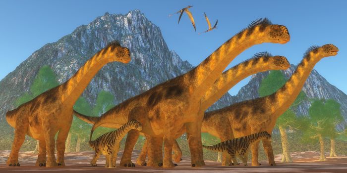 A Camarasaurus sauropod dinosaur herd keep watch on their offspring as two Rhamphorhynchus reptiles fly over.