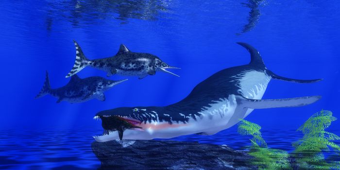 An Ichthyosaur becomes prey for an enormous Liopleurodon marine reptile in Jurassic Seas.