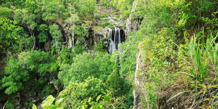 Denham Falls in Beechmont, Queensland, Australia. Located in the Denham Reserve.