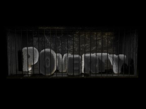 A fluffy word (poverty ) with white hair behind bars with black background.