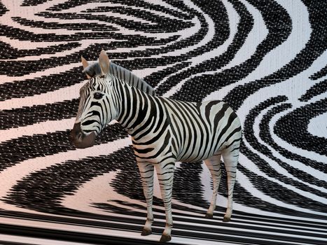 Zebra with same texture background pattern