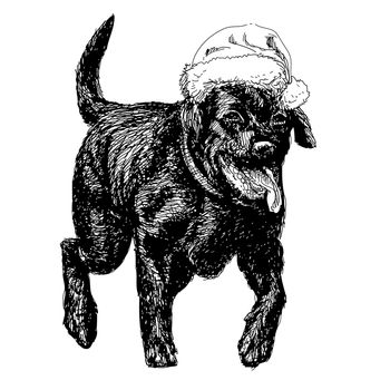 Black Labrador Retriever with santa claus hat hand drawn vector , use for christmas background